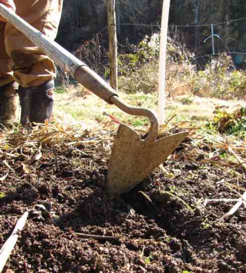 Large seeds are planted in furrows created by dragging the corner of your hoe through the soil.